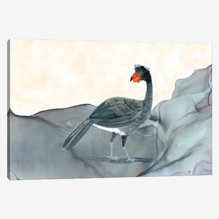 Wattled Currasow - Rare Bird Of South America Canvas Print #AEE101} by Andreea Dumez Canvas Art Print