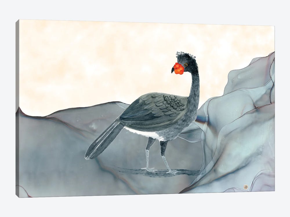 Wattled Currasow - Rare Bird Of South America by Andreea Dumez 1-piece Canvas Artwork