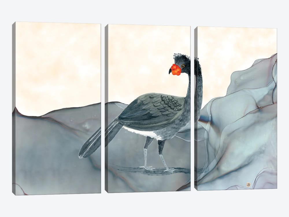 Wattled Currasow - Rare Bird Of South America by Andreea Dumez 3-piece Canvas Artwork