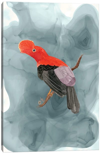 Andean Cock-Of-The-Rock - National Bird Of Peru Canvas Art Print - Andreea Dumez