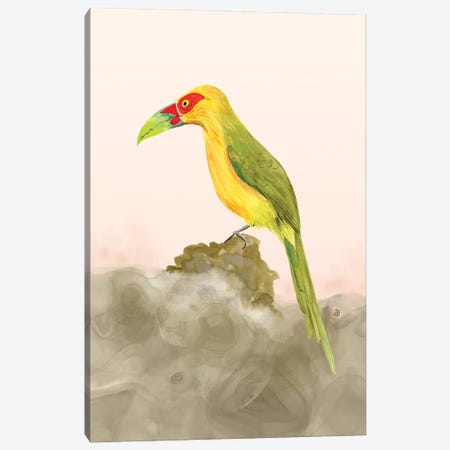 Saffron Toucanet - Tropical Colorful Toucan Canvas Print #AEE103} by Andreea Dumez Canvas Print