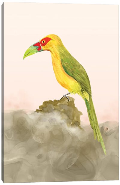 Saffron Toucanet - Tropical Colorful Toucan Canvas Art Print - Animal Rights Art