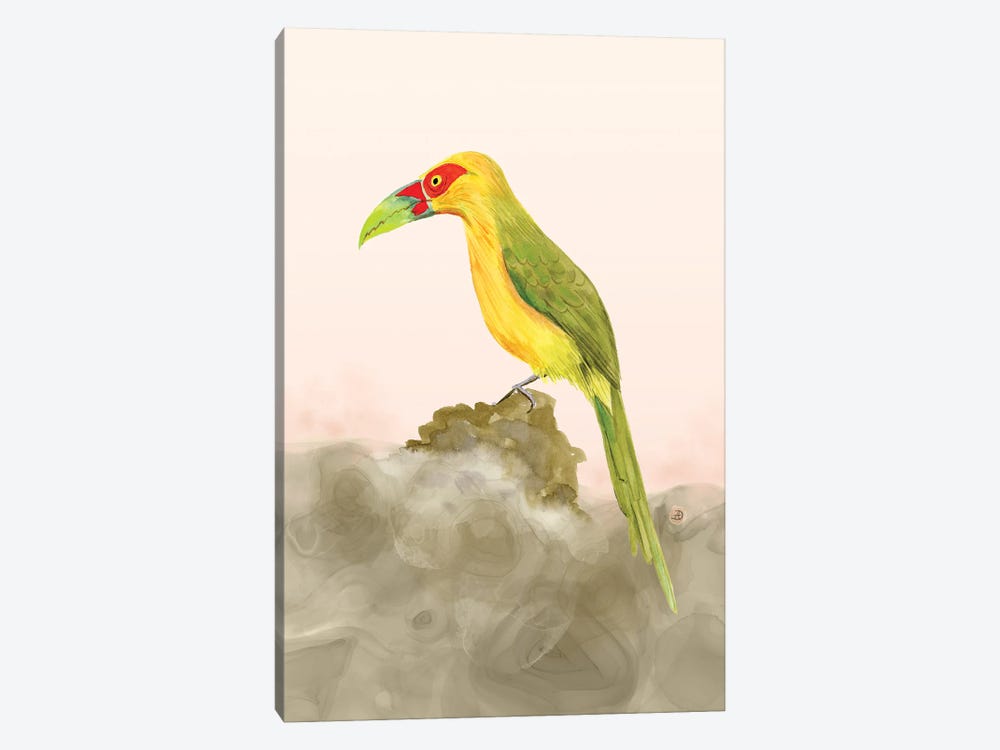 Saffron Toucanet - Tropical Colorful Toucan by Andreea Dumez 1-piece Canvas Wall Art