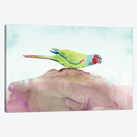 Pfrimer's Parakeet - Tropical Parrot Canvas Print #AEE104} by Andreea Dumez Canvas Wall Art