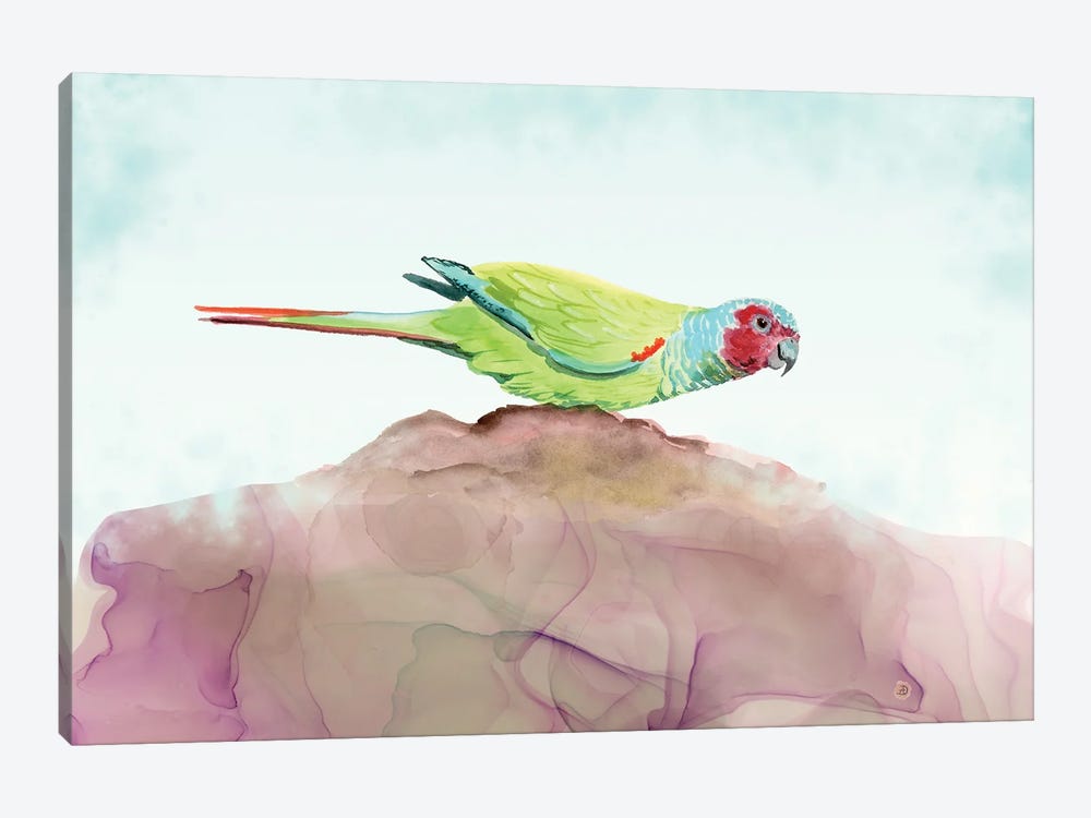 Pfrimer's Parakeet - Tropical Parrot by Andreea Dumez 1-piece Canvas Print