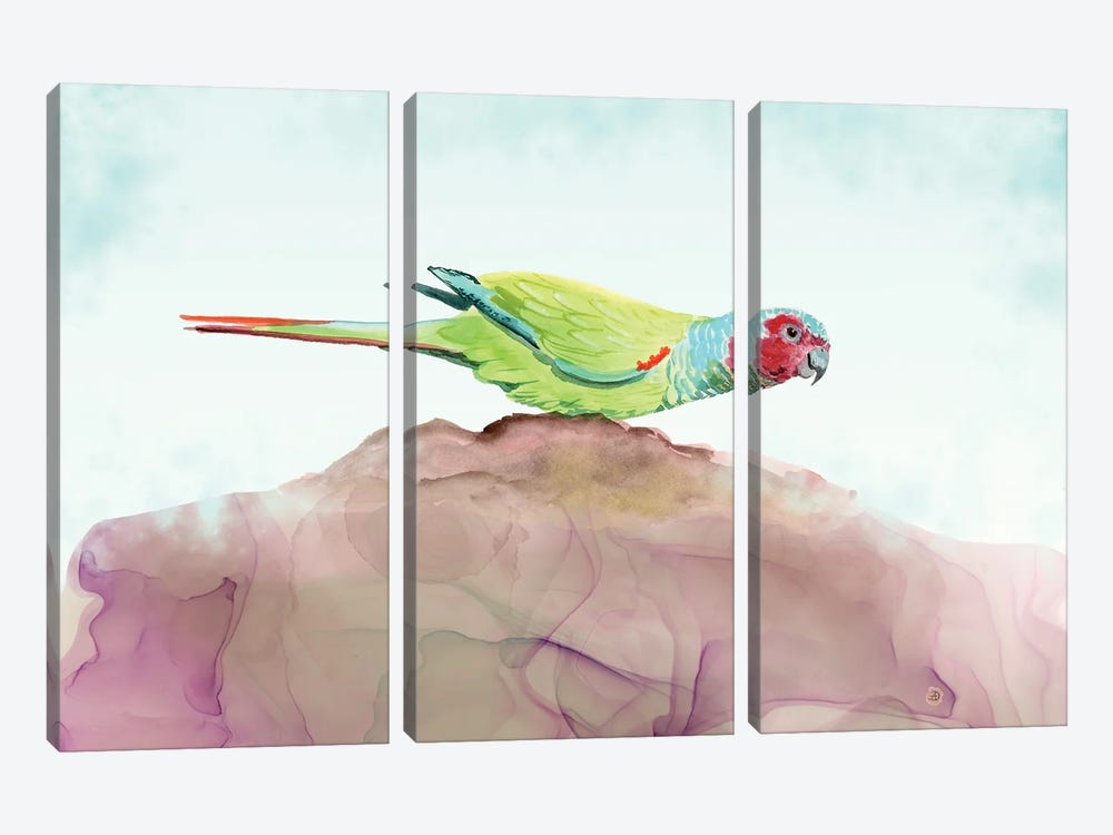 Pfrimer's Parakeet - Tropical Parrot by Andreea Dumez 3-piece Art Print