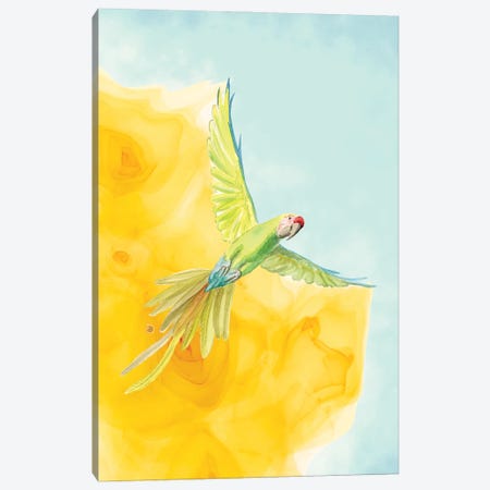Great Green Macaw - Large Colorful Parrot Canvas Print #AEE105} by Andreea Dumez Canvas Art