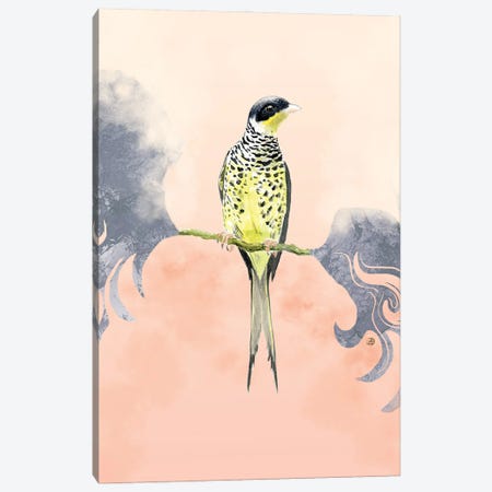 Swallow-Tailed Cotinga Tropical Bird Canvas Print #AEE106} by Andreea Dumez Canvas Art