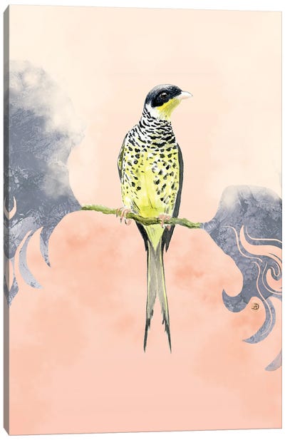 Swallow-Tailed Cotinga Tropical Bird Canvas Art Print