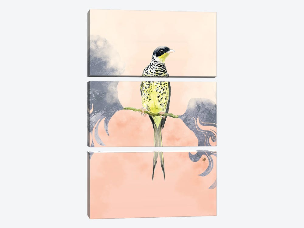 Swallow-Tailed Cotinga Tropical Bird by Andreea Dumez 3-piece Art Print