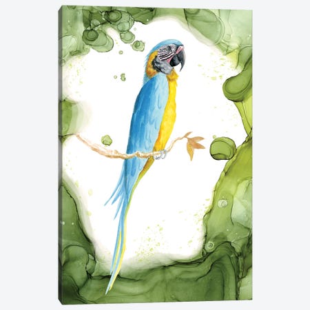 Blue-Throated Macaw - Tropical Bird In A Lush Garden Canvas Print #AEE107} by Andreea Dumez Canvas Art
