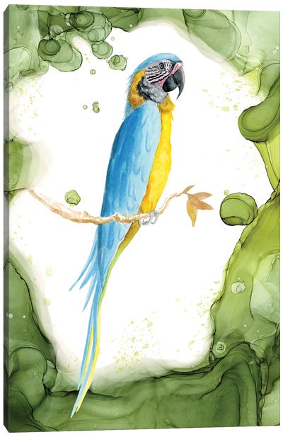 Blue-Throated Macaw - Tropical Bird In A Lush Garden Canvas Art Print