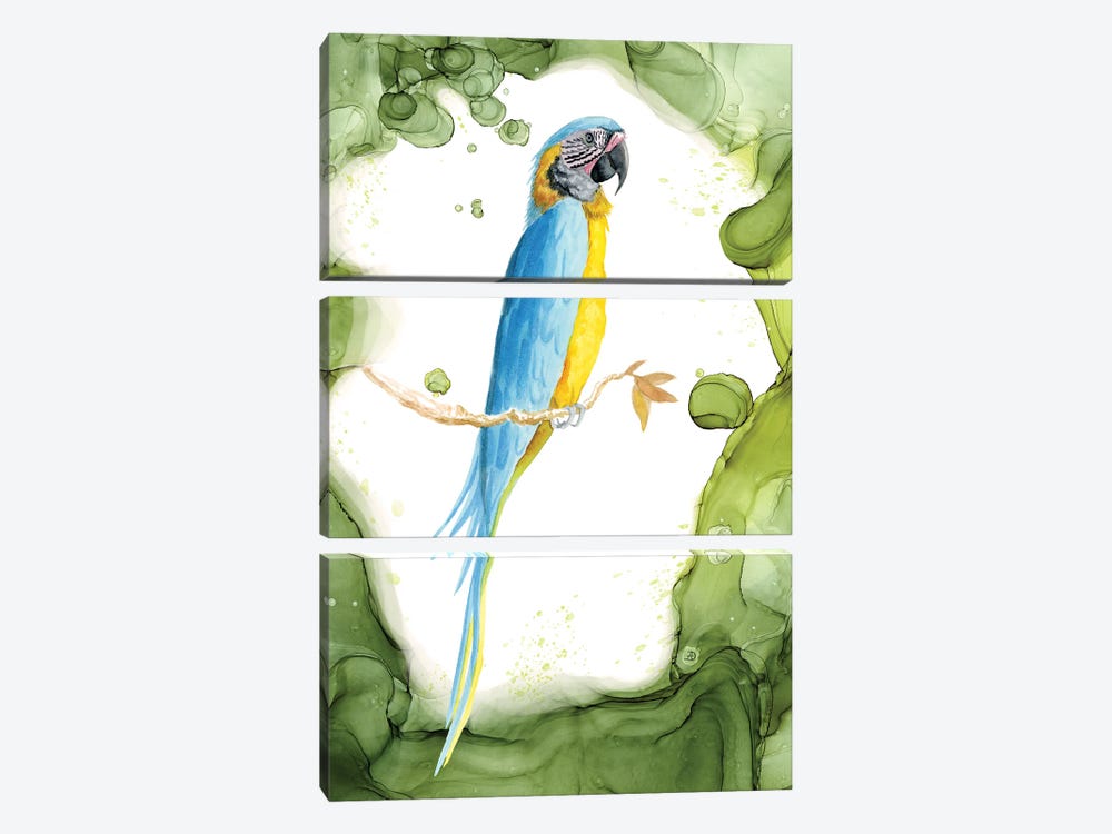 Blue-Throated Macaw - Tropical Bird In A Lush Garden by Andreea Dumez 3-piece Canvas Artwork