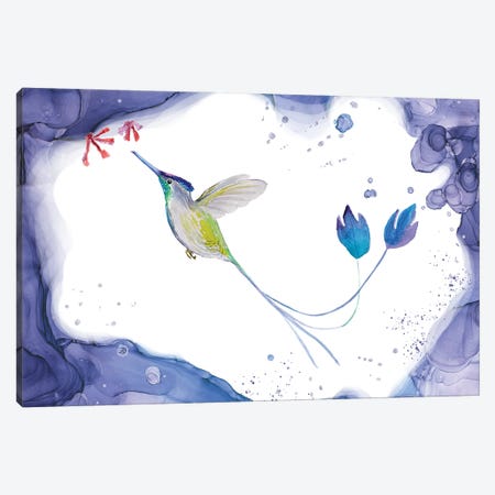Marvelous Spatuletail Hummingbird Canvas Print #AEE108} by Andreea Dumez Art Print