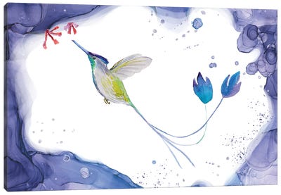Marvelous Spatuletail Hummingbird Canvas Art Print - Andreea Dumez