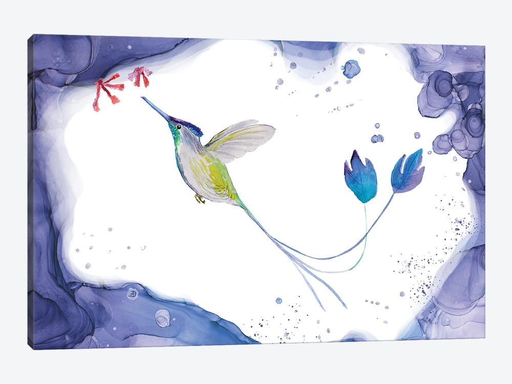 Marvelous Spatuletail Hummingbird by Andreea Dumez 1-piece Canvas Print
