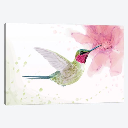 Amethyst Woodstar Hummingbird Canvas Print #AEE109} by Andreea Dumez Art Print