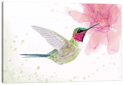 Amethyst Woodstar Hummingbird Canvas Art Print - Andreea Dumez