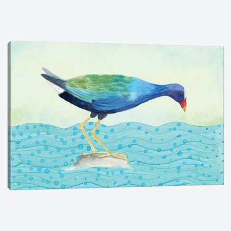 Purple Gallinule - Water Bird Canvas Print #AEE110} by Andreea Dumez Canvas Artwork