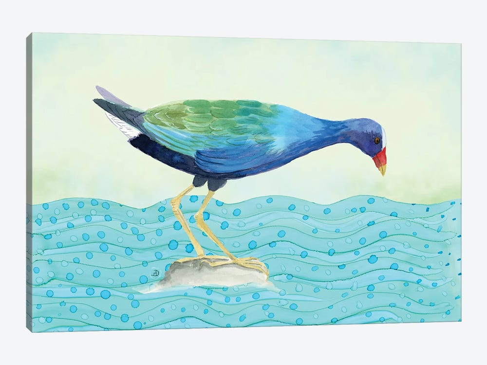 Purple Gallinule - Water Bird by Andreea Dumez 1-piece Canvas Artwork