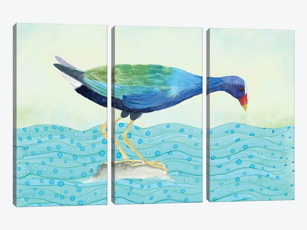 Purple Gallinule - Water Bird by Andreea Dumez 3-piece Canvas Art