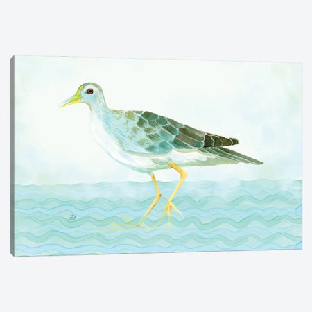 Azure Gallinule - Shorebird Canvas Print #AEE111} by Andreea Dumez Canvas Artwork