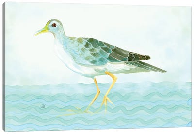 Azure Gallinule - Shorebird Canvas Art Print - Andreea Dumez