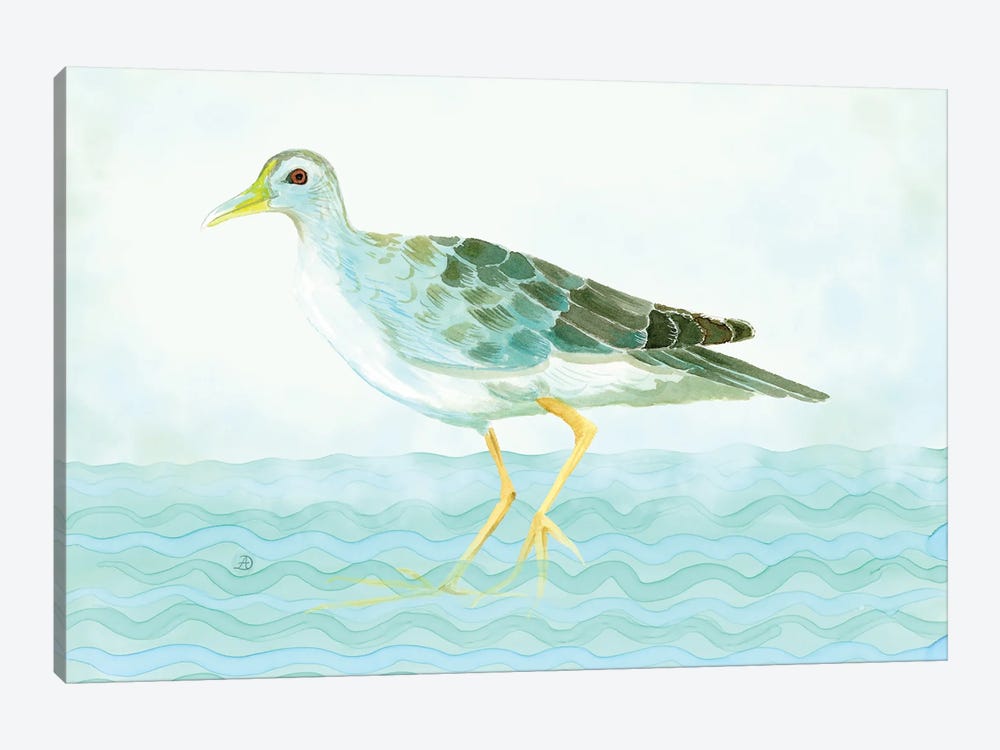 Azure Gallinule - Shorebird by Andreea Dumez 1-piece Canvas Art Print