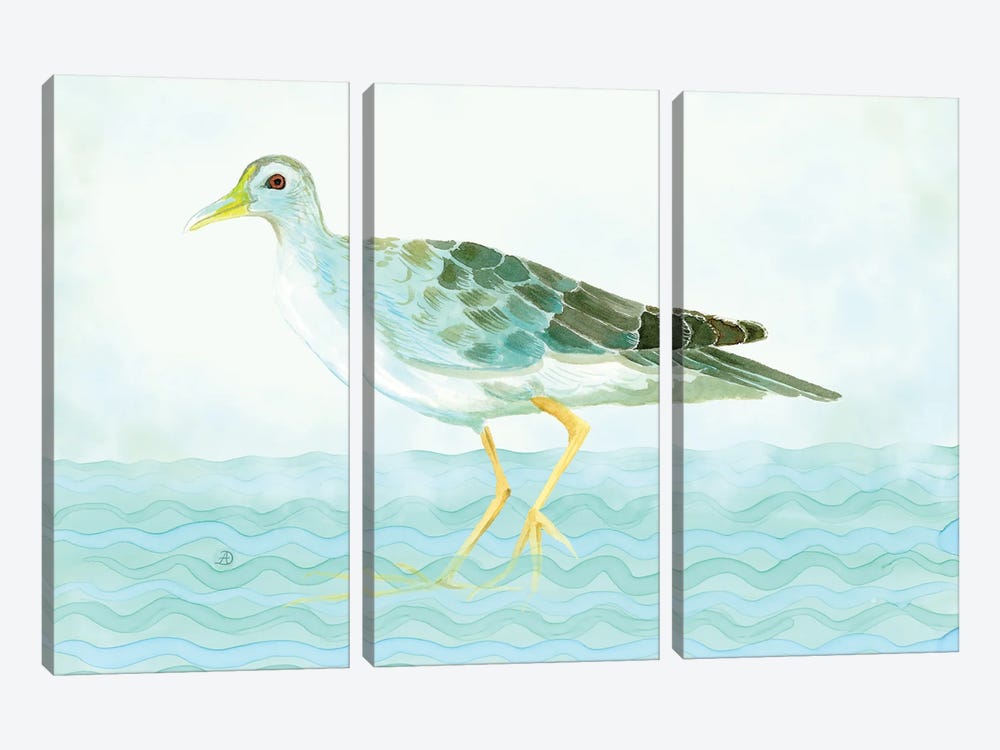 Azure Gallinule - Shorebird by Andreea Dumez 3-piece Art Print