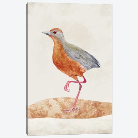 Russet-Crowned Crake - Rusty Colored Bird Canvas Print #AEE112} by Andreea Dumez Canvas Art
