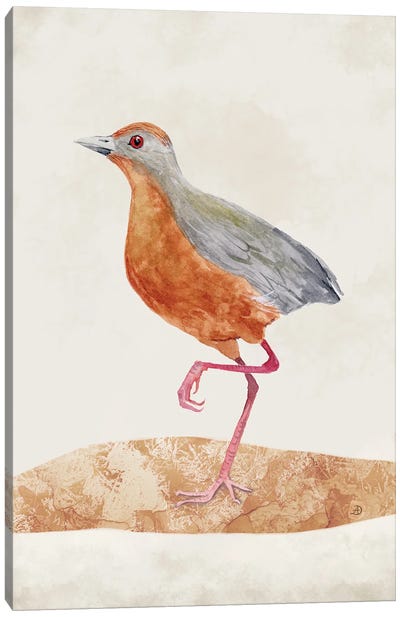 Russet-Crowned Crake - Rusty Colored Bird Canvas Art Print