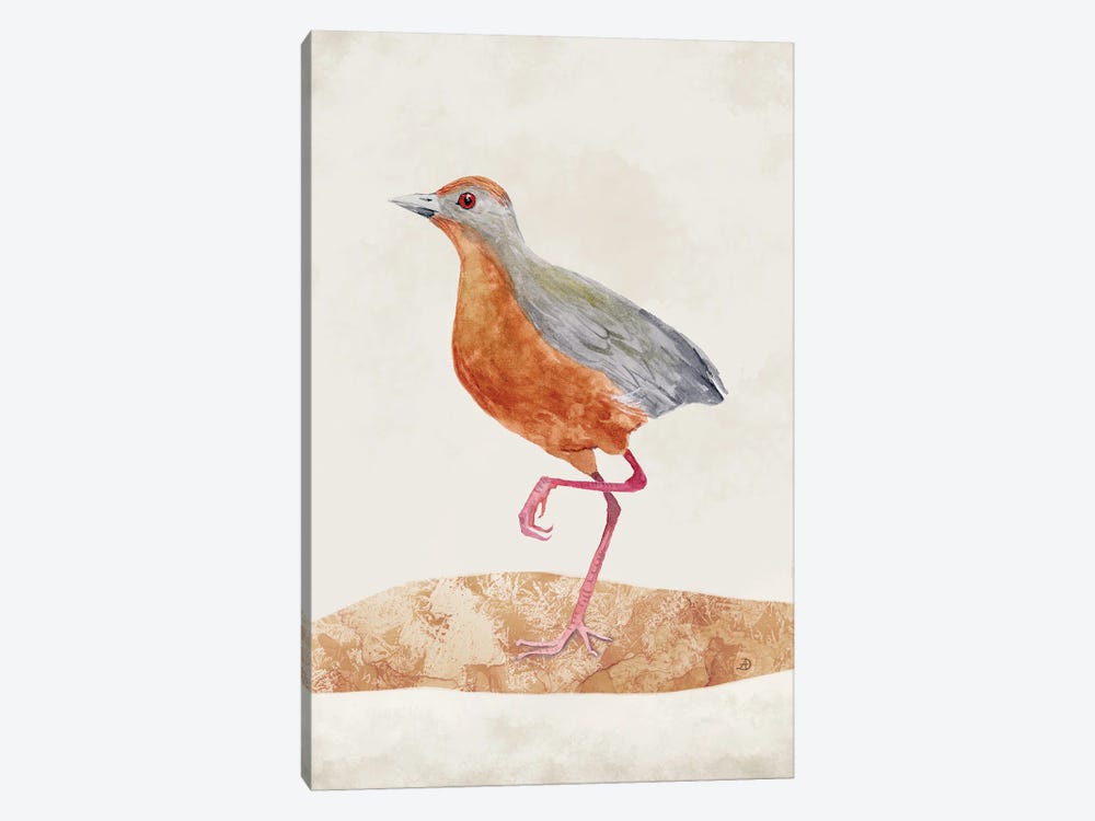 Russet-Crowned Crake - Rusty Colored Bird by Andreea Dumez 1-piece Canvas Artwork