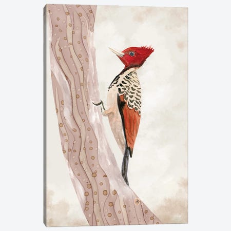 Kaempfer's Woodpecker Canvas Print #AEE115} by Andreea Dumez Canvas Art Print