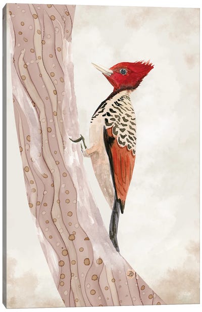 Kaempfer's Woodpecker Canvas Art Print - Andreea Dumez