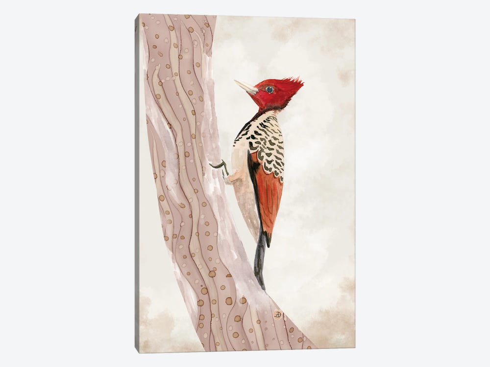 Kaempfer's Woodpecker by Andreea Dumez 1-piece Canvas Print