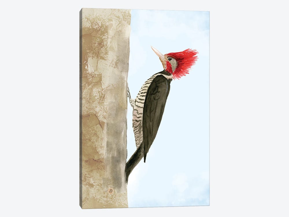 Helmeted Woodpecker by Andreea Dumez 1-piece Canvas Artwork