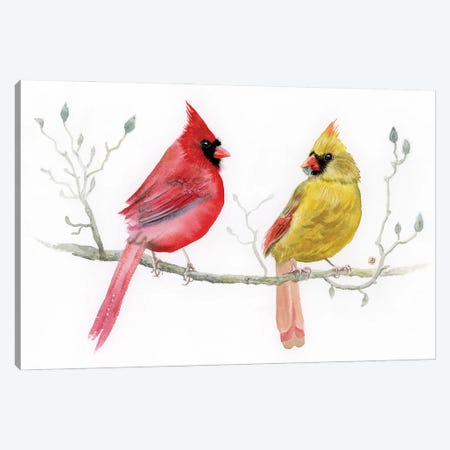 Cardinal Pair On Magnolia Branch Canvas Print #AEE117} by Andreea Dumez Canvas Print