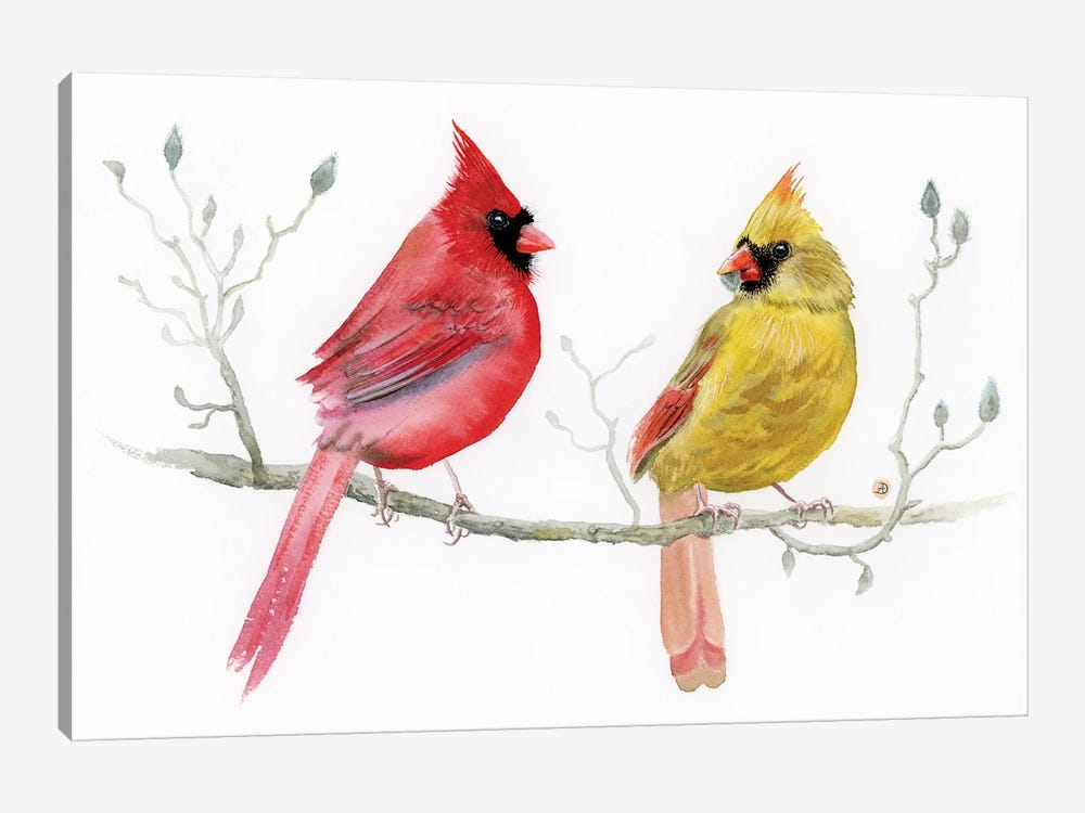 Cardinal Pair On Magnolia Branch by Andreea Dumez 1-piece Canvas Art Print
