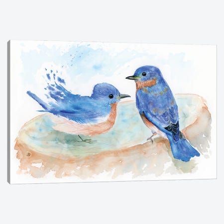 Bluebird Pair At The Birdbath Canvas Print #AEE118} by Andreea Dumez Canvas Wall Art