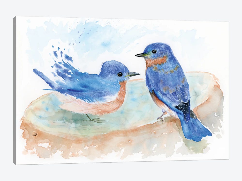 Bluebird Pair At The Birdbath by Andreea Dumez 1-piece Canvas Artwork