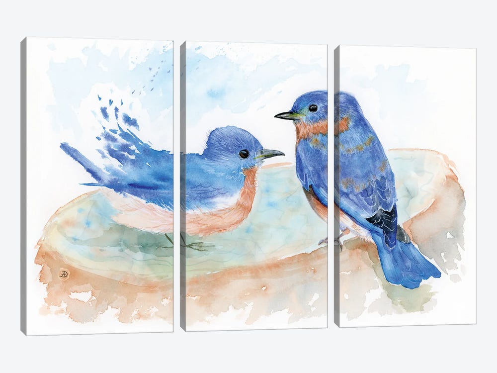 Bluebird Pair At The Birdbath by Andreea Dumez 3-piece Canvas Art