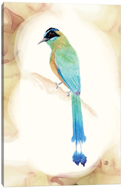 Amazonian Motmot - Tropical Bird Canvas Art Print - Andreea Dumez