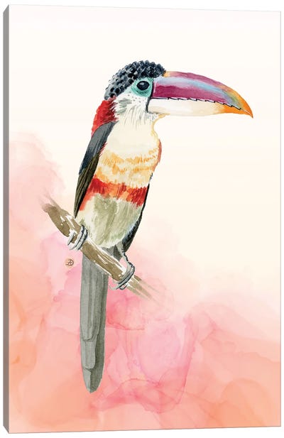 Curl-Crested Aracari - Tropical Toucan Canvas Art Print - Andreea Dumez