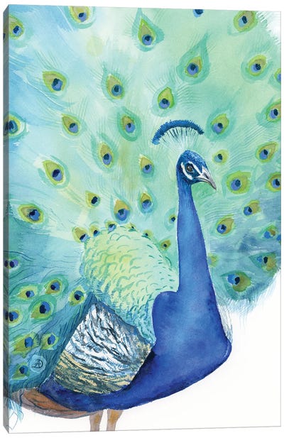 Peacock No1 Canvas Art Print - Turquoise Art