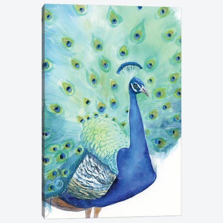 Peacock No1 Canvas Print #AEE141} by Andreea Dumez Canvas Art Print
