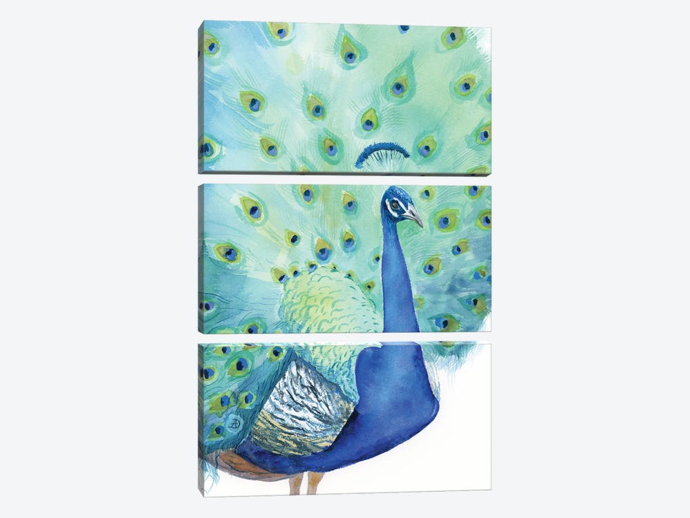 Peacock No1 by Andreea Dumez 3-piece Canvas Artwork