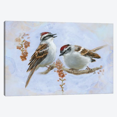 Chipping Sparrows Canvas Print #AEE146} by Andreea Dumez Canvas Art