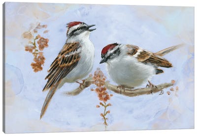 Chipping Sparrows Canvas Art Print - Sparrow Art