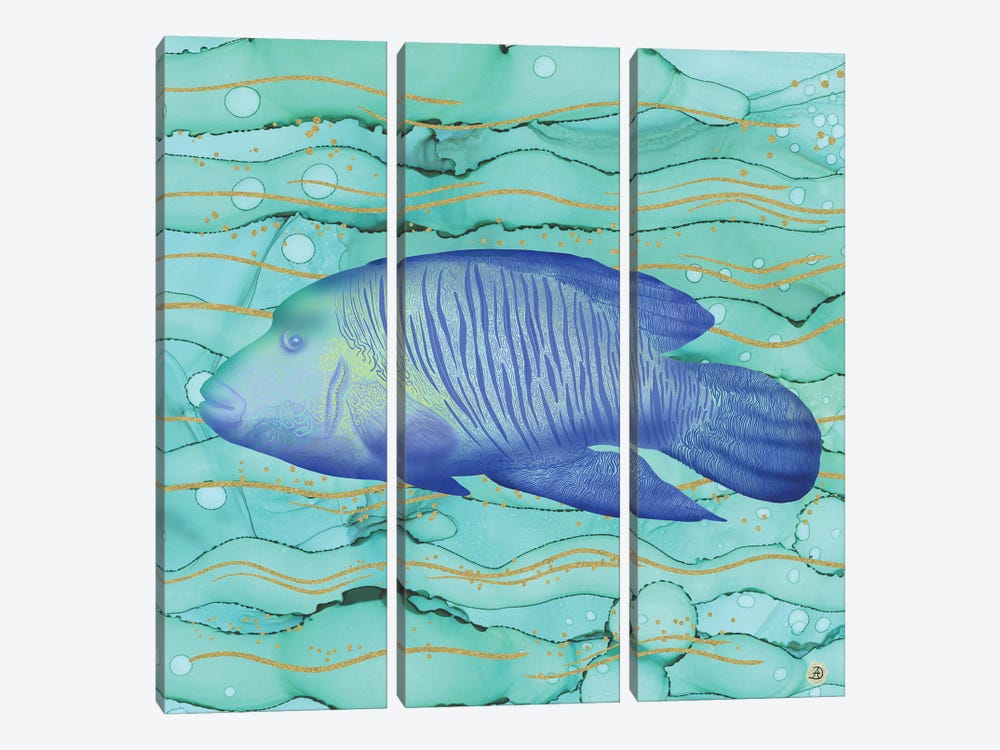 Humphead Wrasse Exotic Fish Swimming In The Coral Reef Emerald Water by Andreea Dumez 3-piece Canvas Artwork