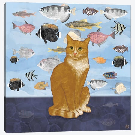Kitty Dreams - Watching The Fish Tank Canvas Print #AEE24} by Andreea Dumez Art Print